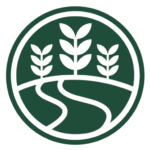 Agricultura florestal e sustentabilidade - Quintal Florestal